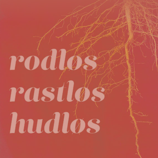 Rodløs